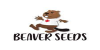 Beaver Seed